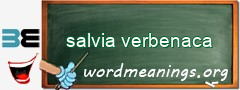 WordMeaning blackboard for salvia verbenaca